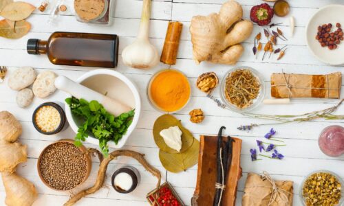 Gut Health: Harmonizing the Microbiome for Optimal Health