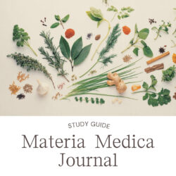 materia medica study guide, digital with hyperlinks