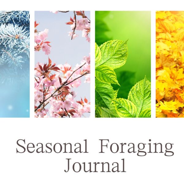 seasonal foraging journal, digital with hyperlinks,