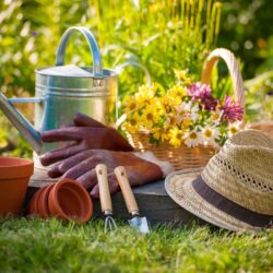 Garden Books & Journals